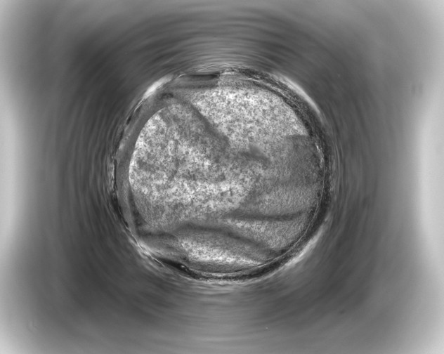 X0000084600777200703161817