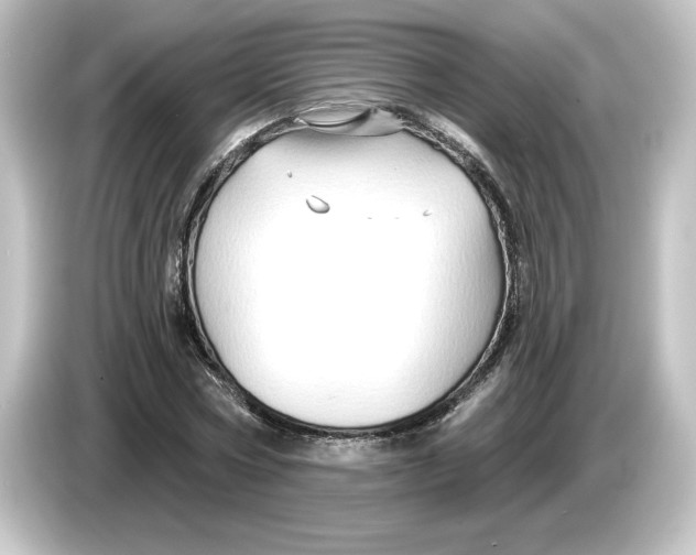 X0000084600778200703161817