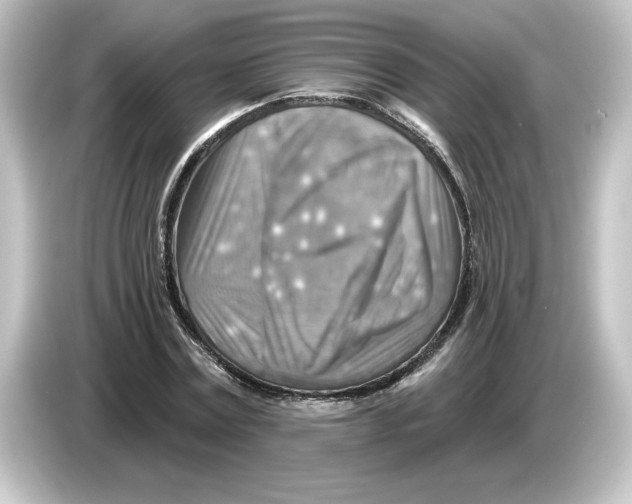 X0000084600779200703161817