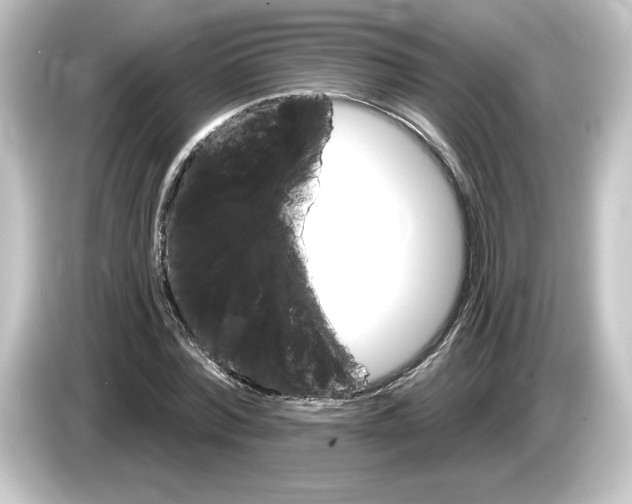 X0000084600780200703161817