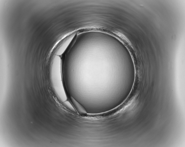 X0000084600781200703161817