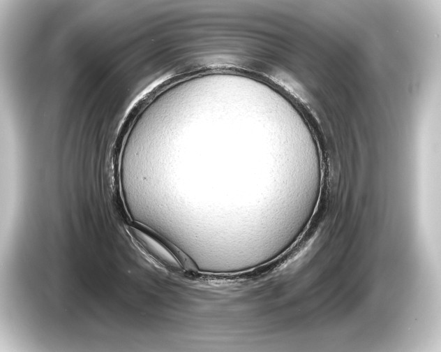 X0000084600782200703161817