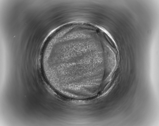 X0000084600783200703161817