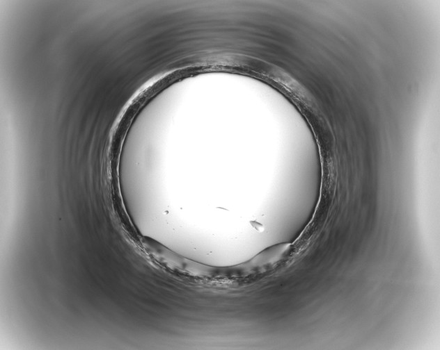 X0000084600784200703161817