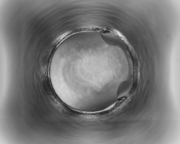 X0000084600785200703161817