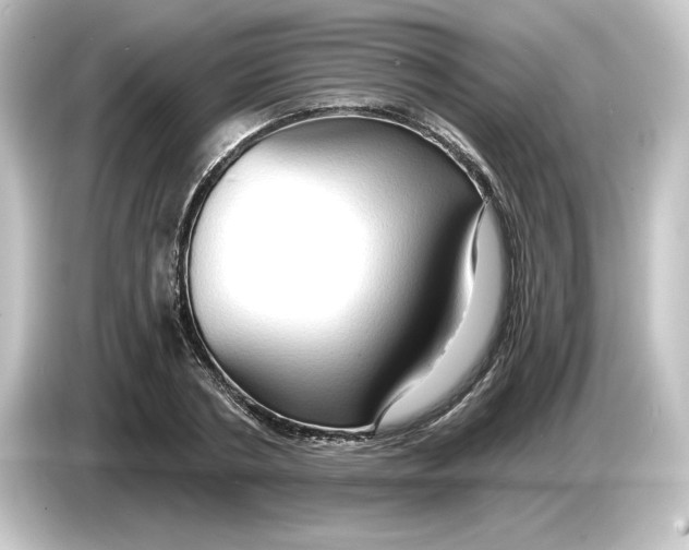 X0000084600786200703161817