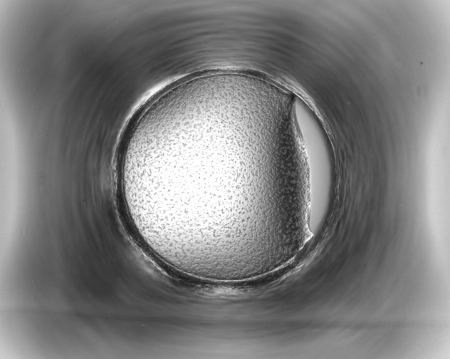 X0000084600787200703161817