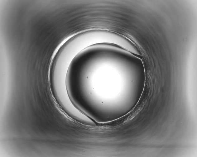 X0000084600788200703161817