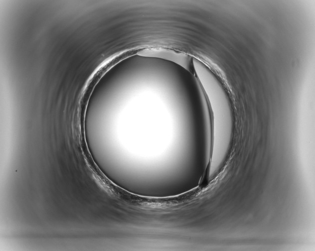 X0000084600792200703161817