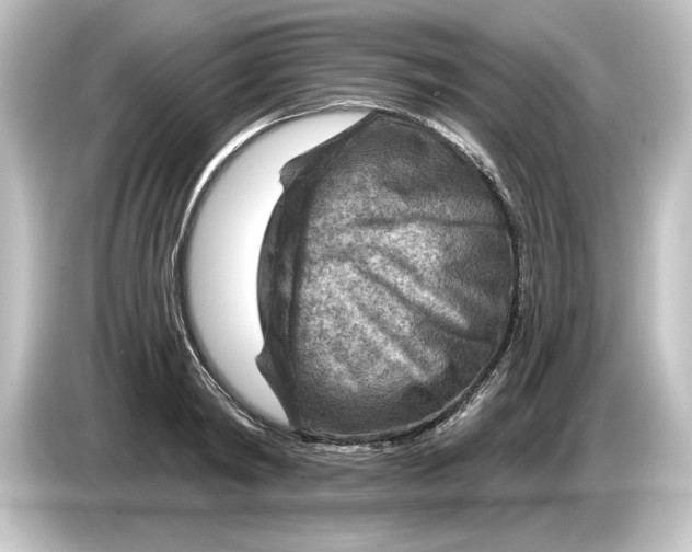 X0000084600798200703161817