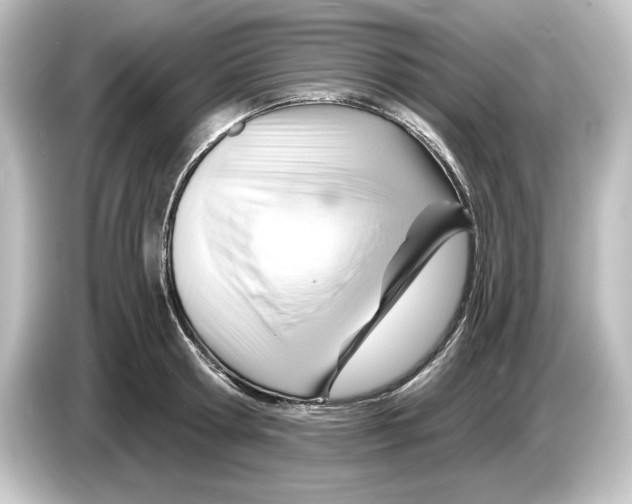 X0000084600802200703161817