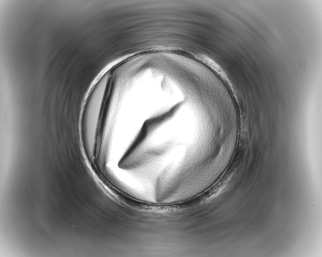 X0000084600803200703161817