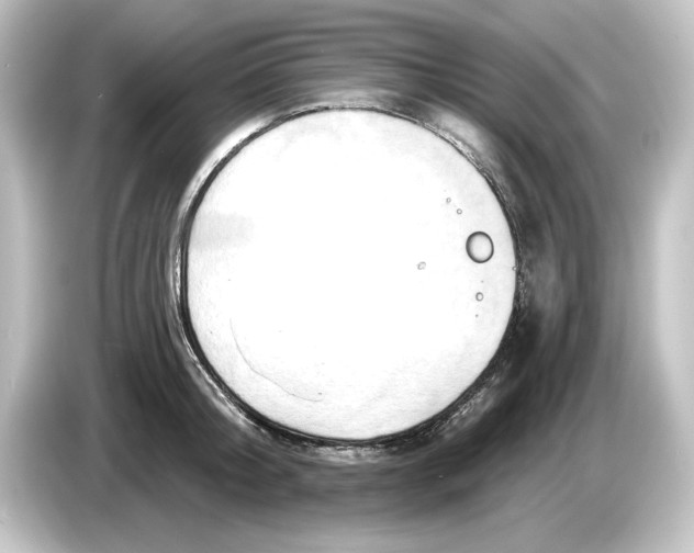 X0000084600804200703161817