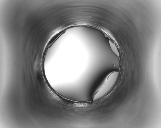 X0000084600805200703161817