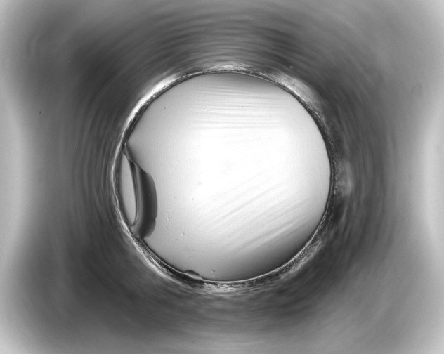 X0000084600806200703161817