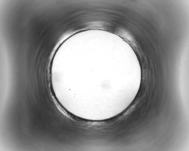 X0000084600808200703161817