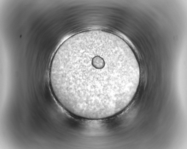 X0000084600810200703161817