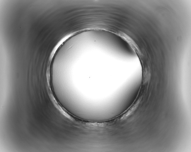 X0000084600812200703161817