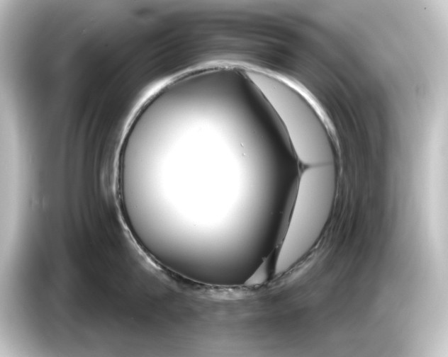 X0000084600815200703161817