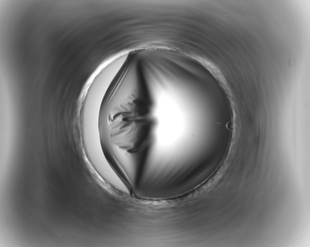 X0000084600816200703161817