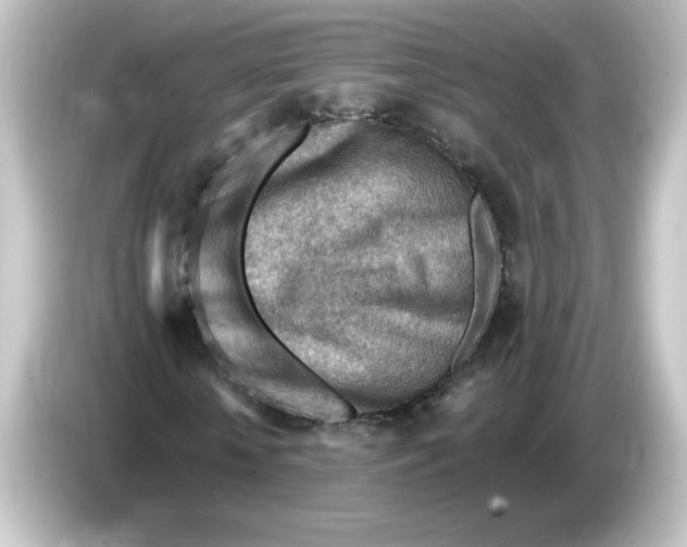 X0000084600818200703161816