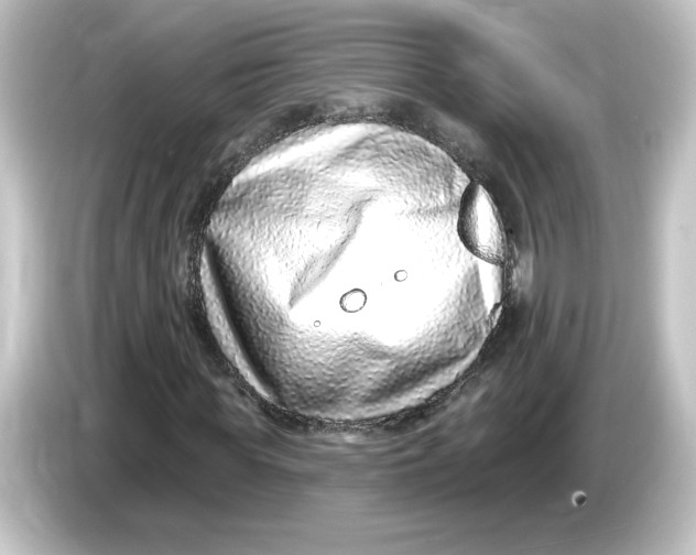 X0000084600819200703161816