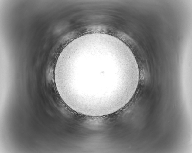 X0000084600820200703161816