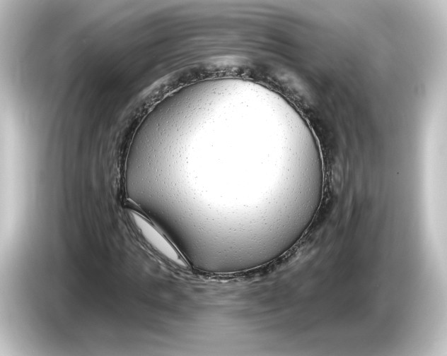 X0000084600821200703161816