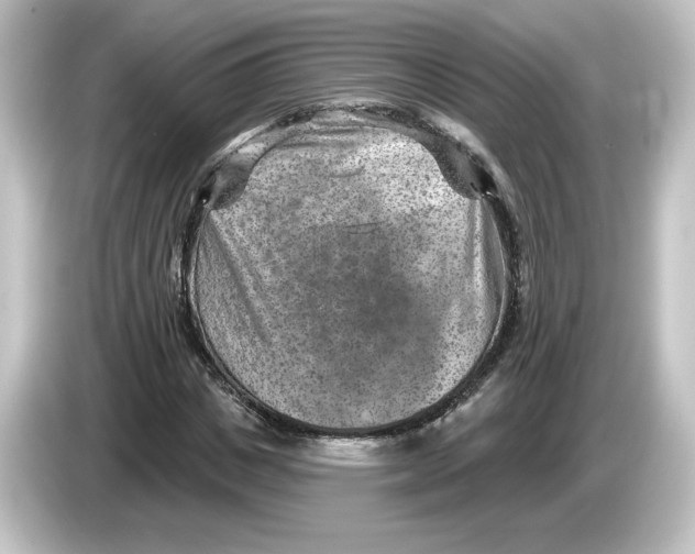 X0000084600825200703161816