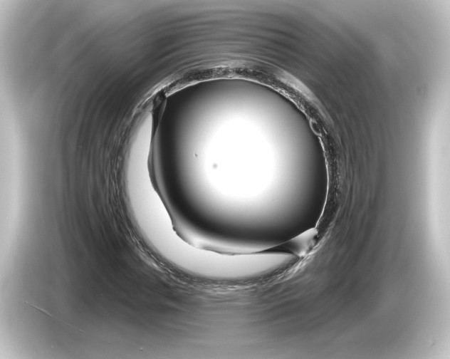 X0000084600826200703161816