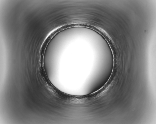 X0000084600830200703161816