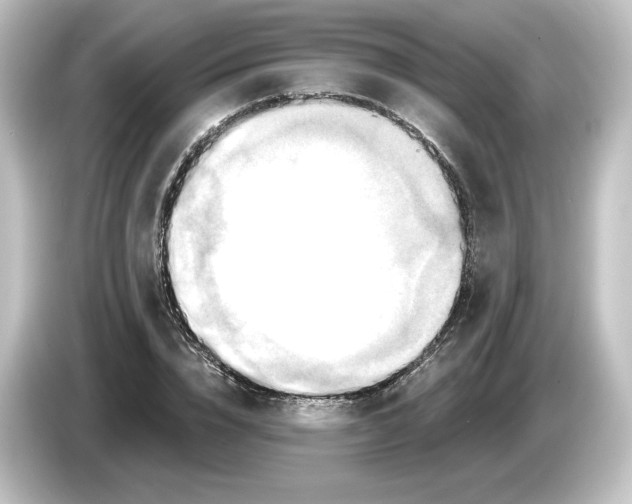 X0000084600832200703161816