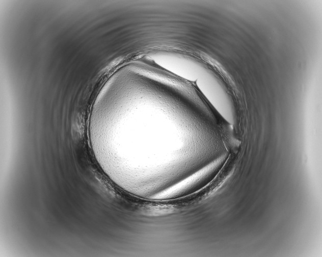 X0000084600833200703161816