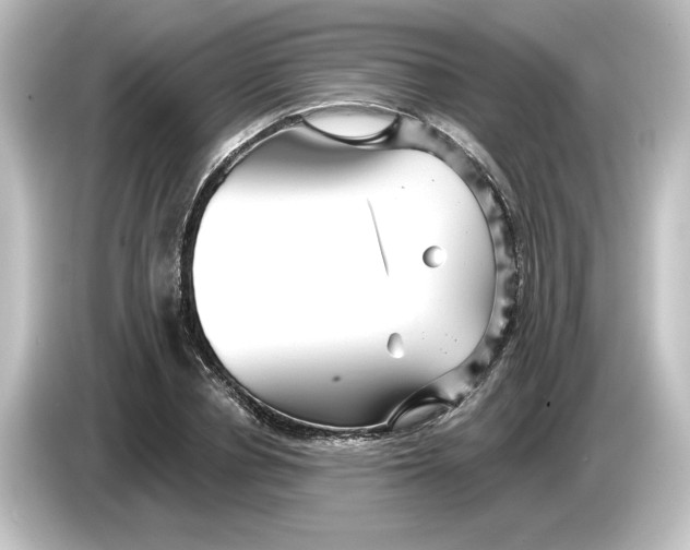 X0000084600834200703161816