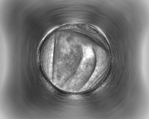 X0000084600835200703161816