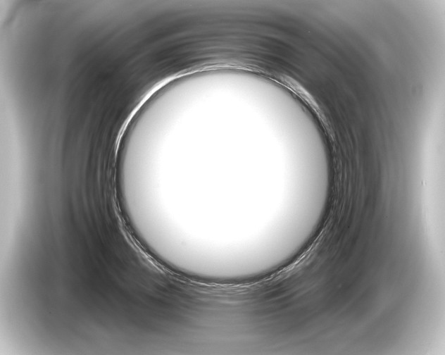 X0000084600836200703161816