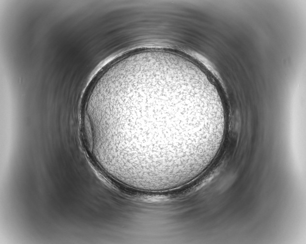 X0000084600837200703161816