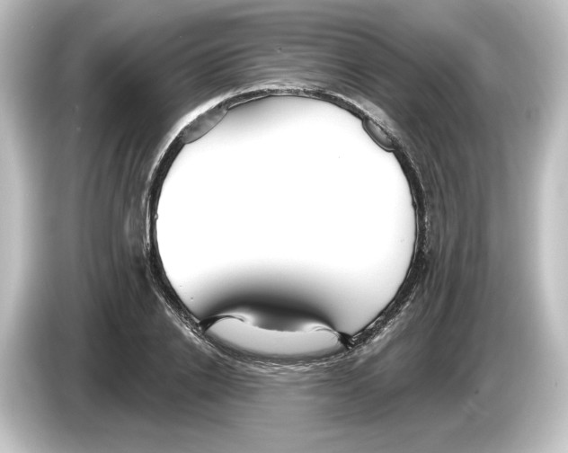 X0000084600838200703161816