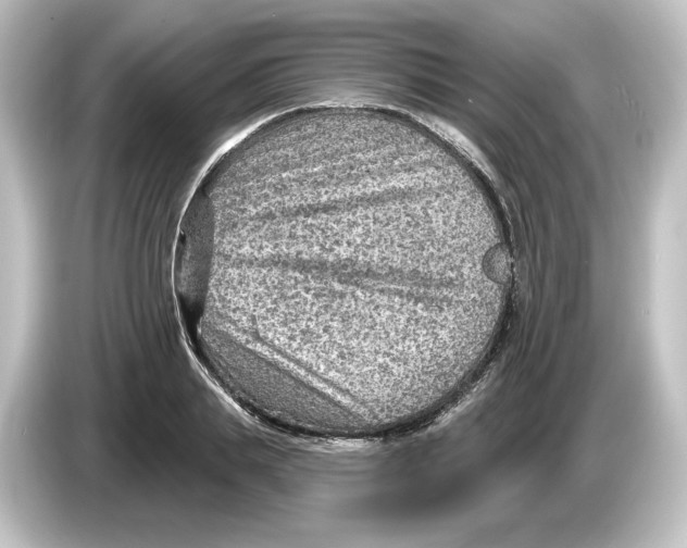 X0000084600839200703161816