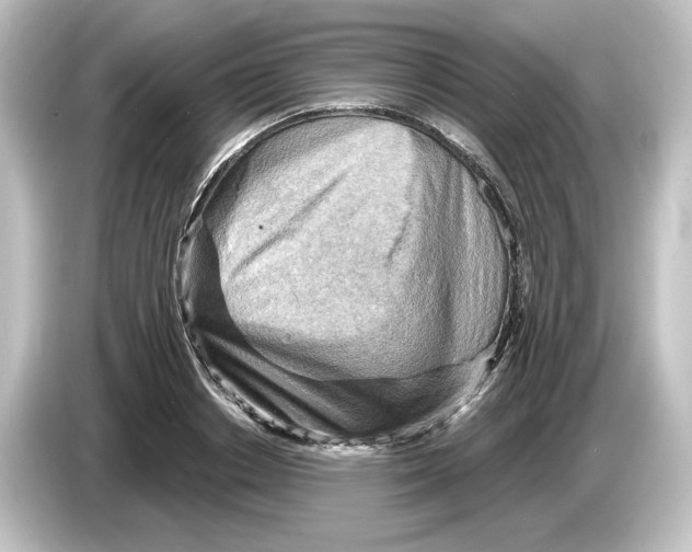 X0000084600842200703161816