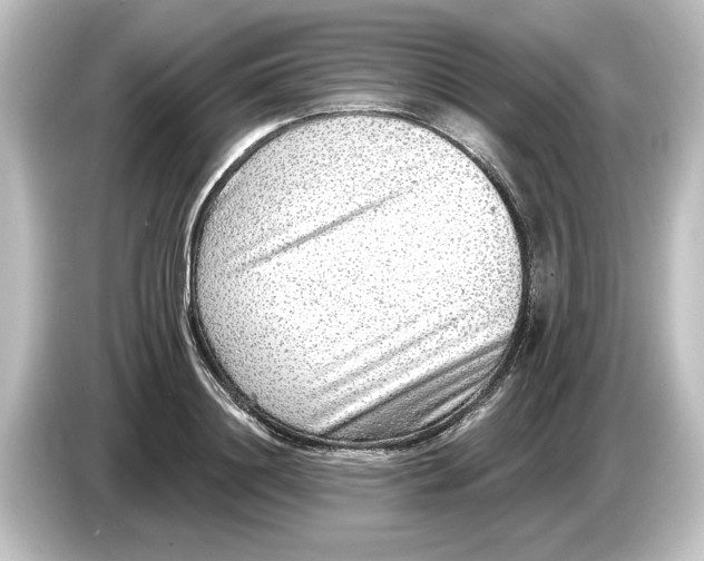 X0000084600844200703161816