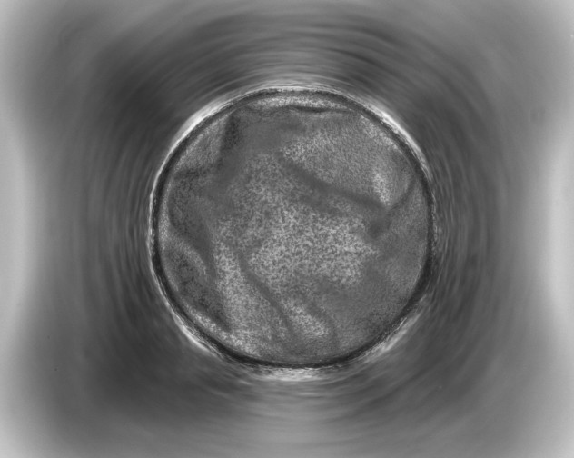 X0000084600845200703161816