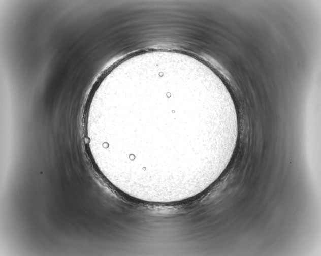 X0000084600848200703161816