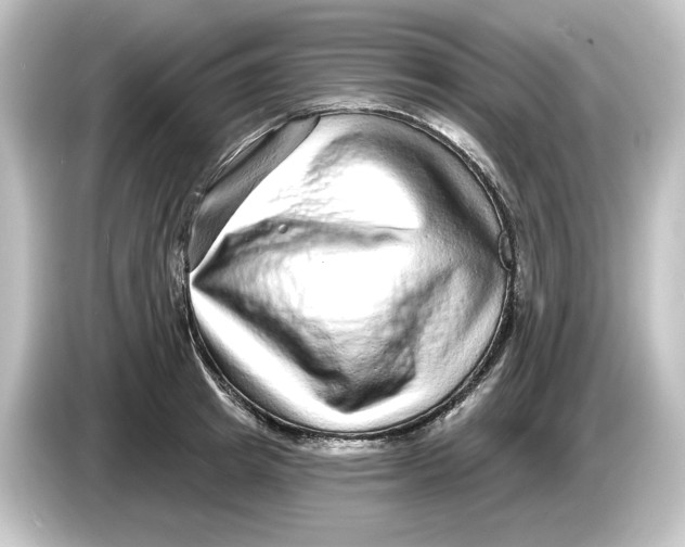 X0000084600849200703161816