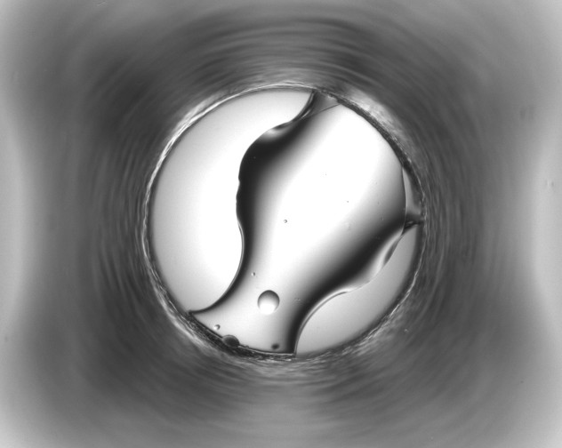 X0000084600850200703161816