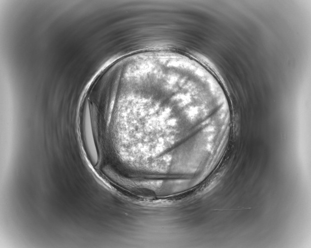 X0000084600851200703161817