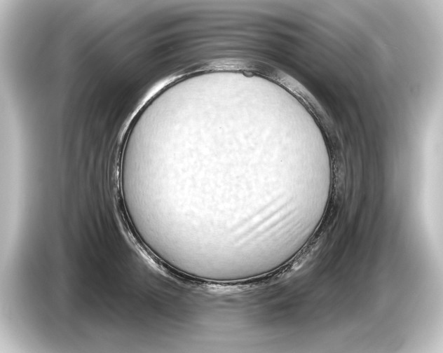 X0000084600852200703161817