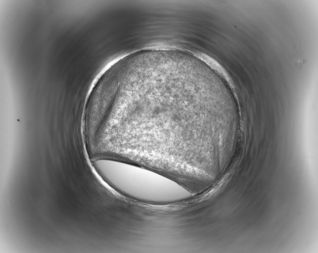 X0000084600855200703161817