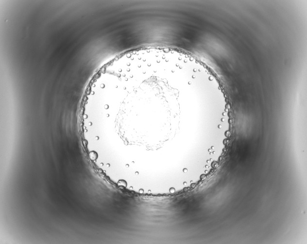 X0000084600856200703161817