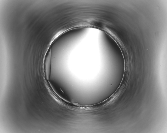 X0000084600858200703161817